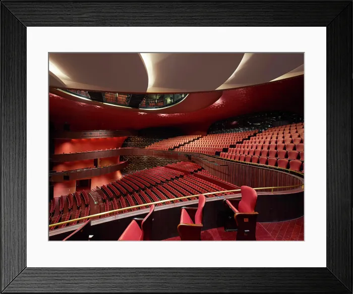 Framed Print : Main auditorium space. National Taichung Theater, Taichung, China. Architect: Toyo Ito, 2016 Framed Print : Main auditorium space. National Taichung Theater, Taichung, China. Architect: Toyo Ito, 2016