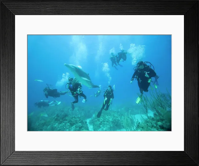 Framed Print : Bahamas, Grand Bahama Island, Freeport Framed Print : Bahamas, Grand Bahama Island, Freeport