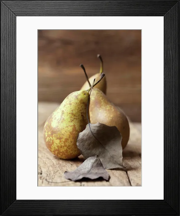 Framed Print : Three organic Conference pears with leaves Framed Print : Three organic Conference pears with leaves