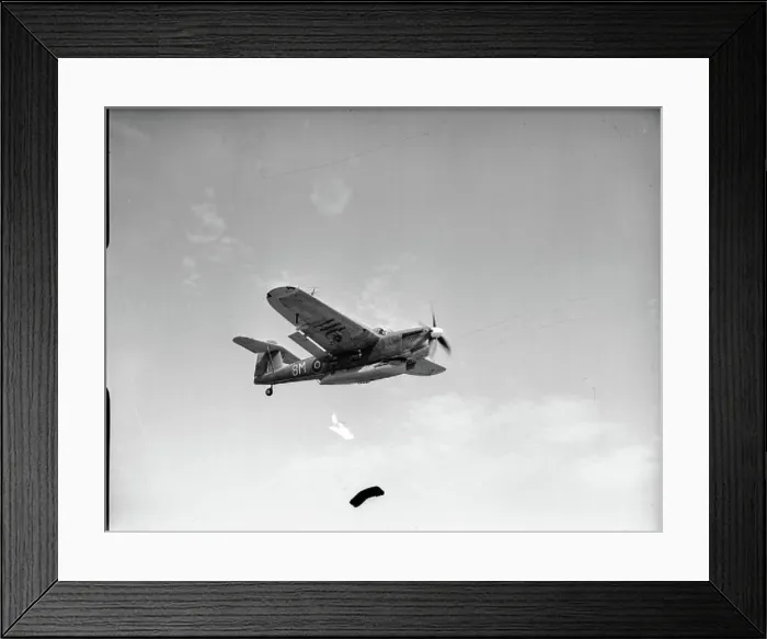Framed Print : The Royal Navy during the Second World War A Fairey Barracuda Mk III carrying the lifeboat before the demonstration