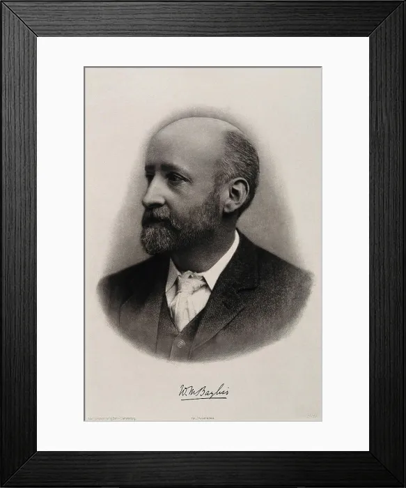 Framed Print : Sir William Maddock Bayliss. Photogravure after J. Russell & Sons