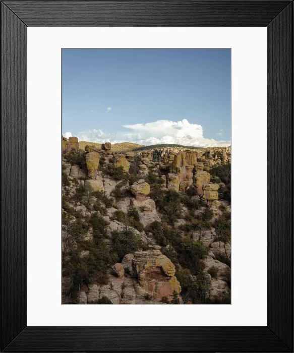 Framed Print : Rock formations at Chiricahua National Monument vertical Framed Print : Rock formations at Chiricahua National Monument vertical