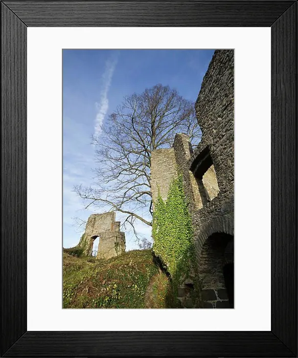 Framed Print : Partial view of the castle ruins of Hohentwiel
