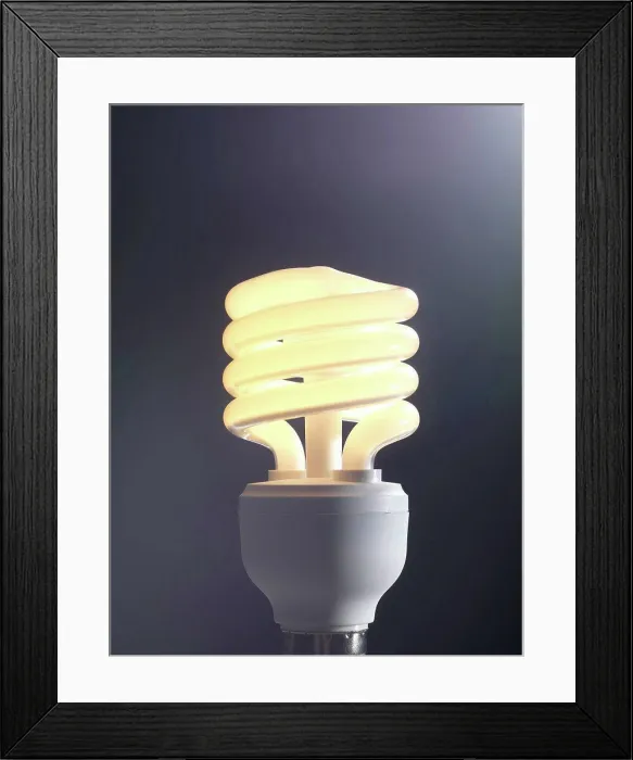 Framed Print : Energy_saving light bulb Framed Print : Energy_saving light bulb