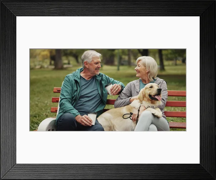 Framed Print : Dog, park and old couple on bench Framed Print : Dog, park and old couple on bench