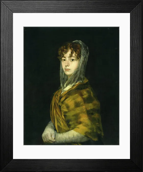Framed Print : Goya Señora Sabasa Garcia Francisco de Goya (Spanish) Framed Print : Goya Señora Sabasa Garcia Francisco de Goya (Spanish)