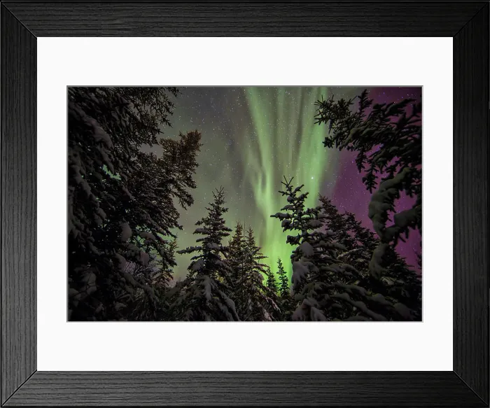 Framed Print : Aurora Borealis or Northern Lights, Yukon Framed Print : Aurora Borealis or Northern Lights, Yukon