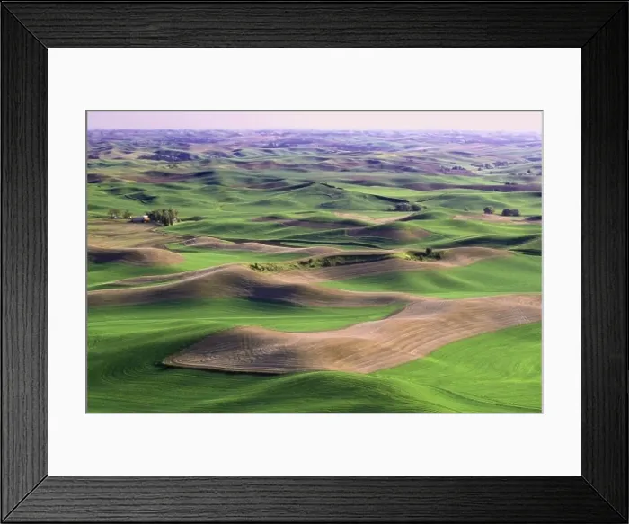 Framed Print : Steptoe Butte Washington USA Framed Print : Steptoe Butte Washington USA