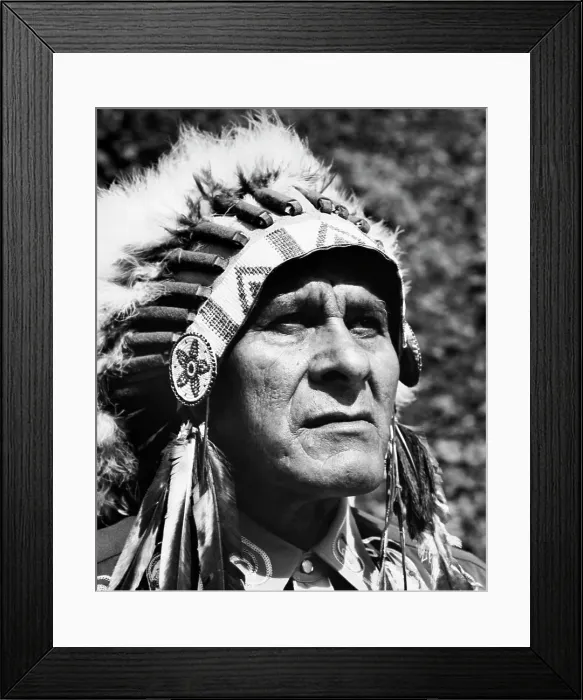 Framed Print : Close-up of a Cherokee man Framed Print : Close-up of a Cherokee man