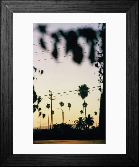 Framed Print : Palm trees and power lines at sunset Framed Print : Palm trees and power lines at sunset