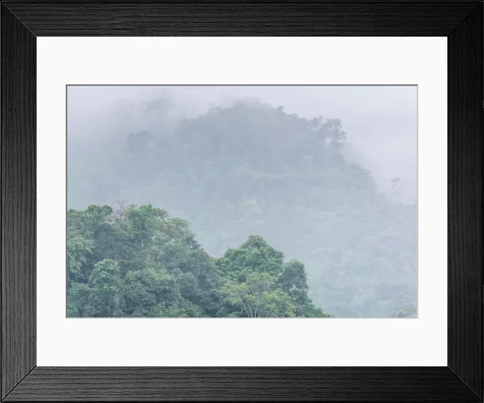 Framed Print : Fog over the rainforest near La Parroquia Lancetillo Fog over the rainforest near La Parroquia Lancetillo