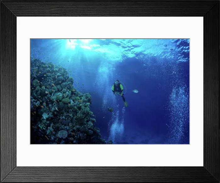 Framed Print : Diver and coral The 7 pitons Tobia Arba Safaga Red Sea Framed Print : Diver and coral The 7 pitons Tobia Arba Safaga Red Sea