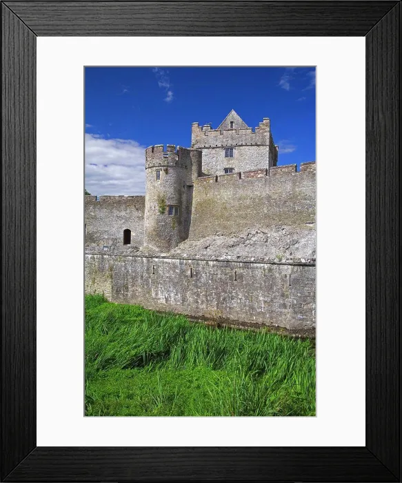 Framed Print : Grass in front of a castle, Cahir Castle, Cahir, County Tipperary, Munster Province, Ireland