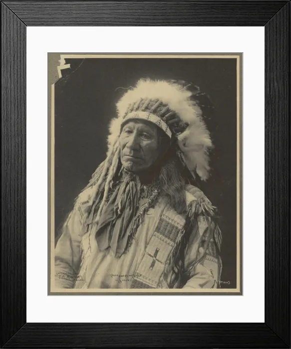 Framed Print : Chief American Horse, Sioux