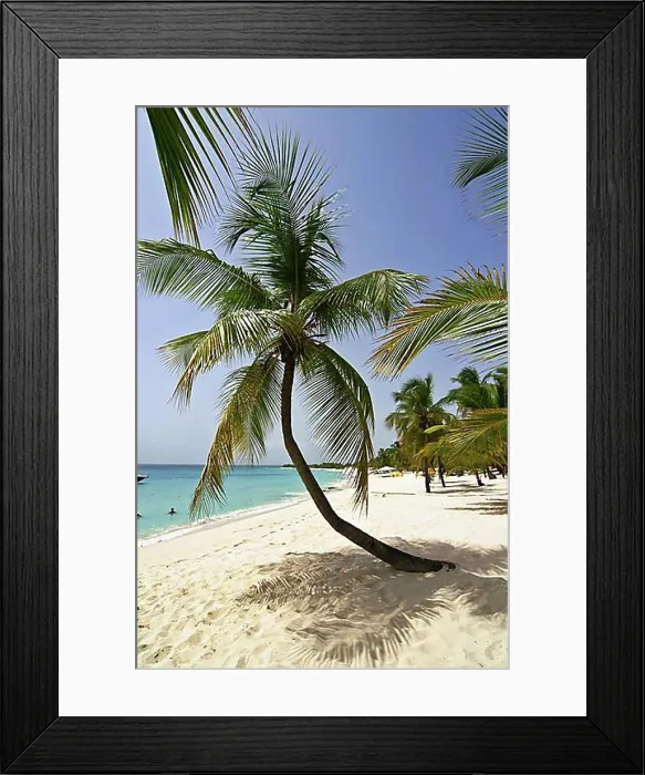 Framed Print : Beach, palm trees, Catalina Island, Dominican Republic, Caribbean, Americas, Central America Framed Print : Beach, palm trees, Catalina Island, Dominican Republic, Caribbean, Americas, Central America