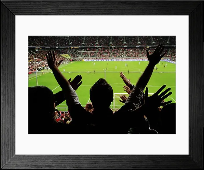 Framed Print : Spectators in a stadium during a football match Framed Print : Spectators in a stadium during a football match