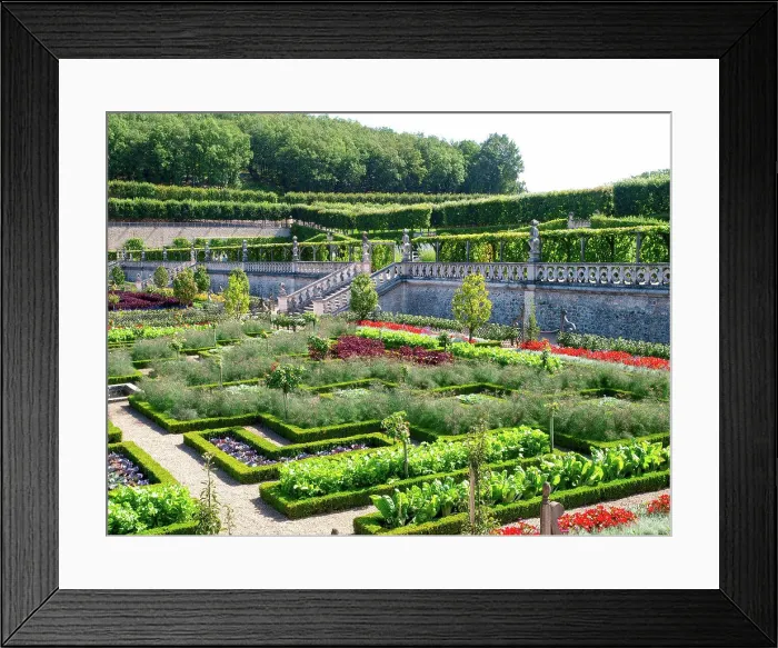 Framed Print : Chateau et Jardins de Villandry, Indre-et-Loire, historical garden, France, Loire Valley, Villandry