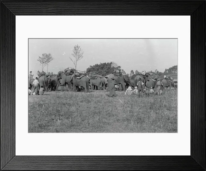 Framed Print : Detachment 101, an enigmatic Allied intelligence and special operations unit during World War II Framed Print : Detachment 101, an enigmatic Allied intelligence and special operations unit during World War II