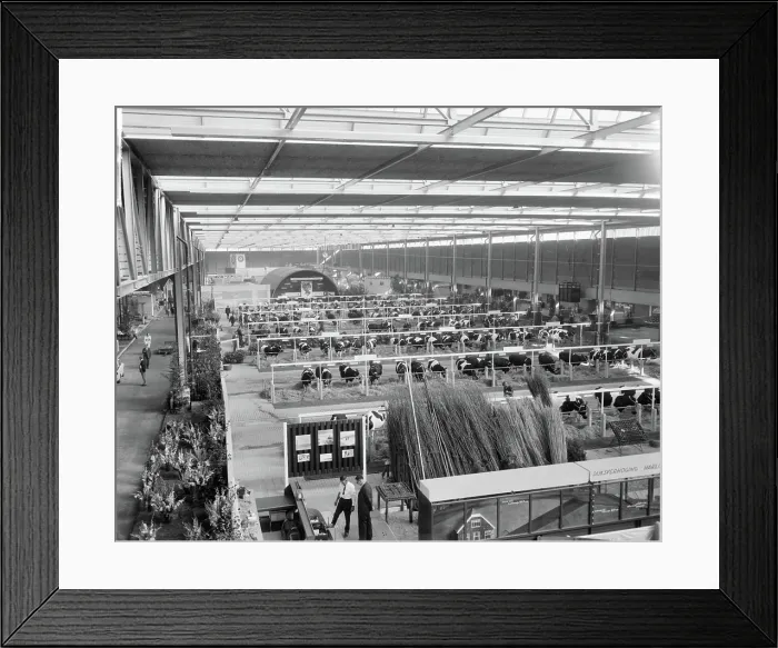 Framed Print : Anefo photo collection. Frisiana in Leeuwarden officially opened by Minister J
