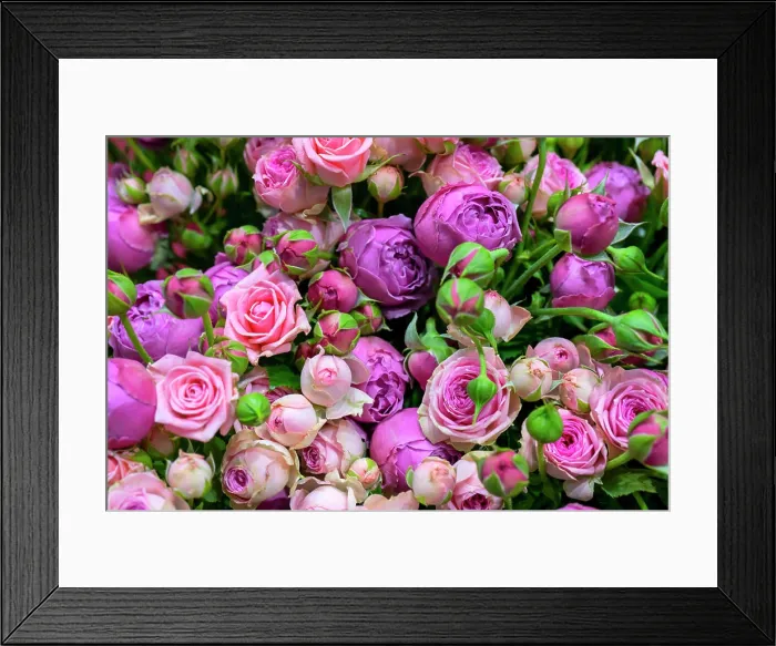 Framed Print : Beautiful roses background. Floral abstract background for wedding and engagement Framed Print : Beautiful roses background. Floral abstract background for wedding and engagement