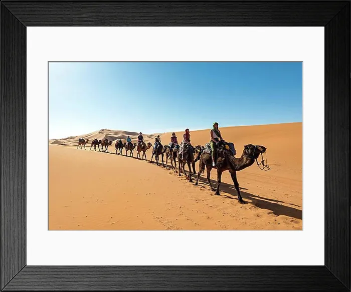 Framed Print : Caravan with dromedaries (Camelus dromedarius), sand dunes in the desert, Erg Chebbi, Merzouga, Sahara, Morocco, Africa