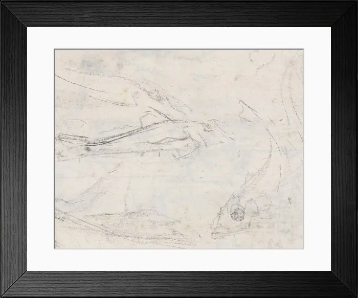 Framed Print : Fish, draughtsman: Gerrit Willem Dijsselhof, 1876 - 1924, paper, h 232 mm × w 287 mm