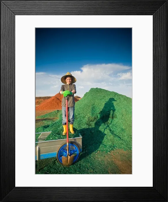 Framed Print : Boy with a shovel in front of a heap of dyed wood chips