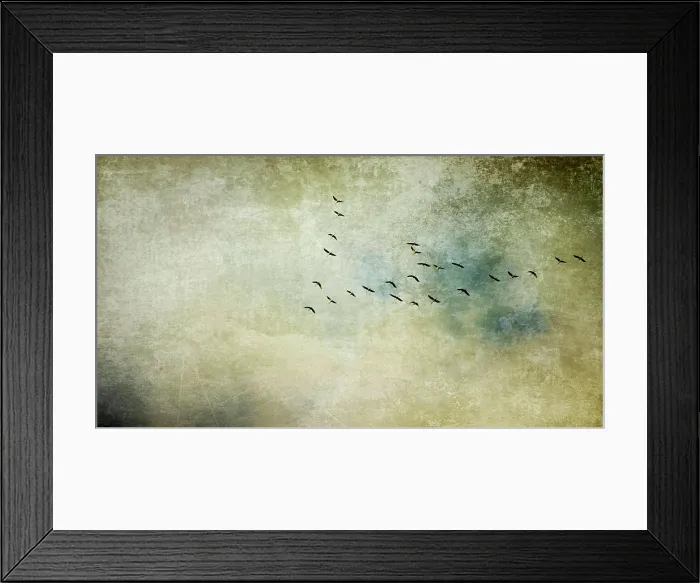 Framed Print : ziehende vögel textur konzept Vögel Kraniche auf dem Flug in Formation Framed Print : ziehende vögel textur konzept Vögel Kraniche auf dem Flug in Formation