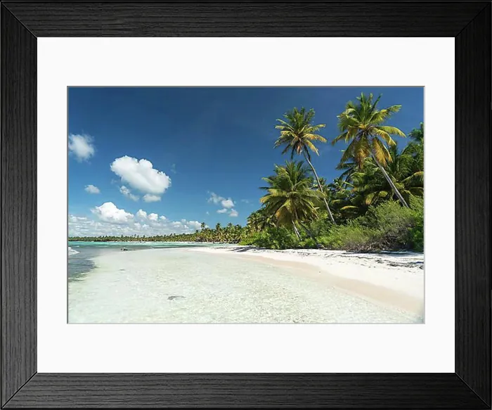 Framed Print : Dream beach, sandy beach with palm trees and turquoise sea Framed Print : Dream beach, sandy beach with palm trees and turquoise sea