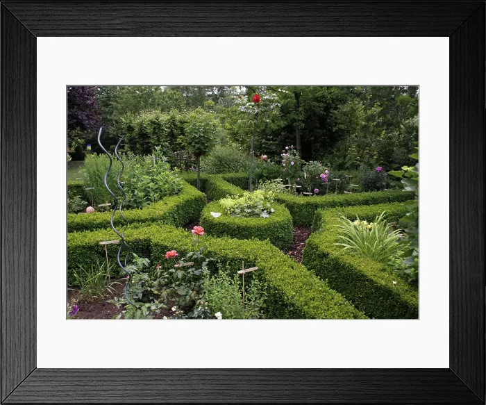 Framed Print : Farm garden with boxwood hedge farm garden with boxwood hedges Framed Print : Farm garden with boxwood hedge farm garden with boxwood hedges