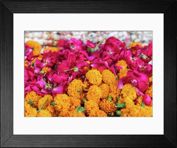 Framed Print : Pushkar, Rajasthan, India. Marigolds and roses for sale at an outdoor market Framed Print : Pushkar, Rajasthan, India. Marigolds and roses for sale at an outdoor market
