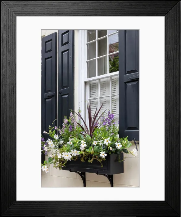 Framed Print : Usa, South Carolina, Charleston Framed Print : Usa, South Carolina, Charleston