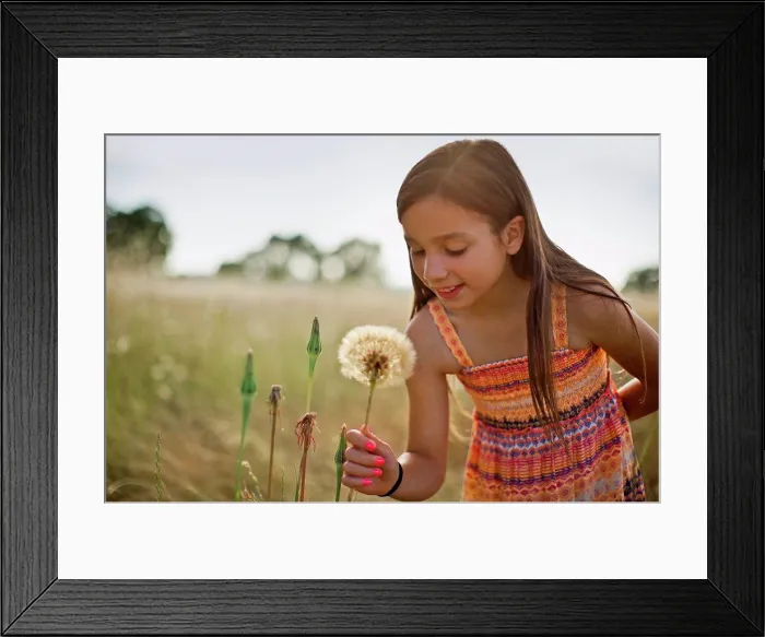 Framed Print : Smiling young girl picking a dandelion seed head in a grassy meadow Framed Print : Smiling young girl picking a dandelion seed head in a grassy meadow