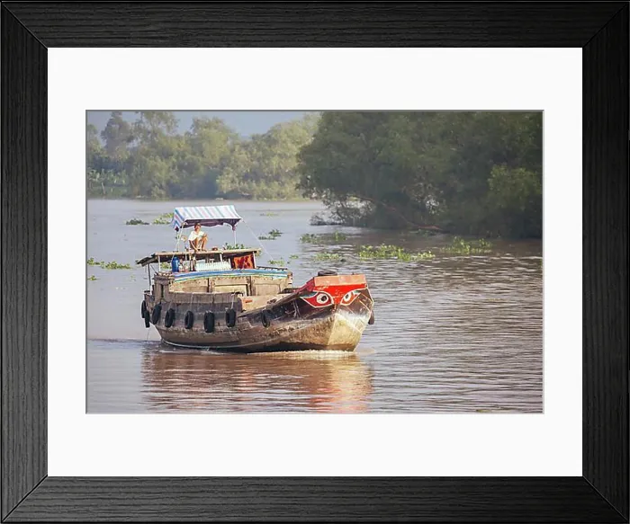 Framed Print : Mekong Delta, Vietnam, September 29