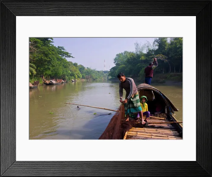 Framed Print : Unique fishing with fish otters (Lutra Lutra), Bangladesh, Asia Framed Print : Unique fishing with fish otters (Lutra Lutra), Bangladesh, Asia