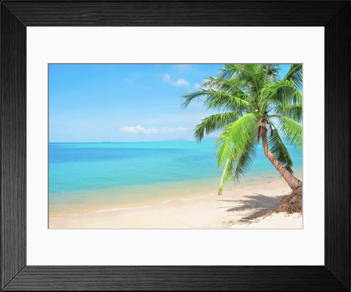 Framed Print : beach with coconut palm tree beach with coconut palm tree Copyright: xZoonar.com / AlexanderxOzerovx 2964753