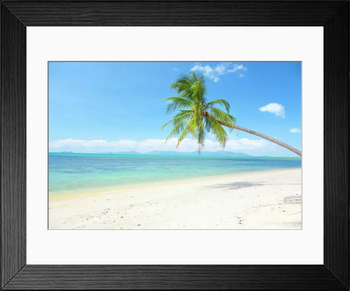 Framed Print : tropical beach with coconut palm and sea tropical beach with coconut palm and sea Copyright: xZoonar Framed Print : tropical beach with coconut palm and sea tropical beach with coconut palm and sea Copyright: xZoonar