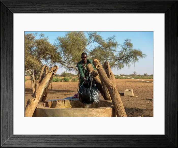 Framed Print : Peul cattle herder fetching water from a well. Senegal Framed Print : Peul cattle herder fetching water from a well. Senegal