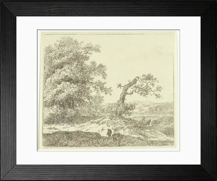 Framed Print : Walker in the Duinen Buite Haarlem Framed Print : Walker in the Duinen Buite Haarlem