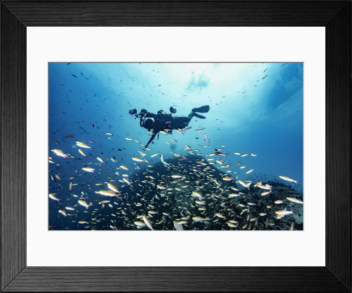 Framed Print : Photographer exploring a reef at the gulf of Thailand close to Koh Tao Framed Print : Photographer exploring a reef at the gulf of Thailand close to Koh Tao