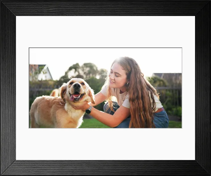 Framed Print : Playing, bonding and woman with dog outdoor for connection with animal adoption at home