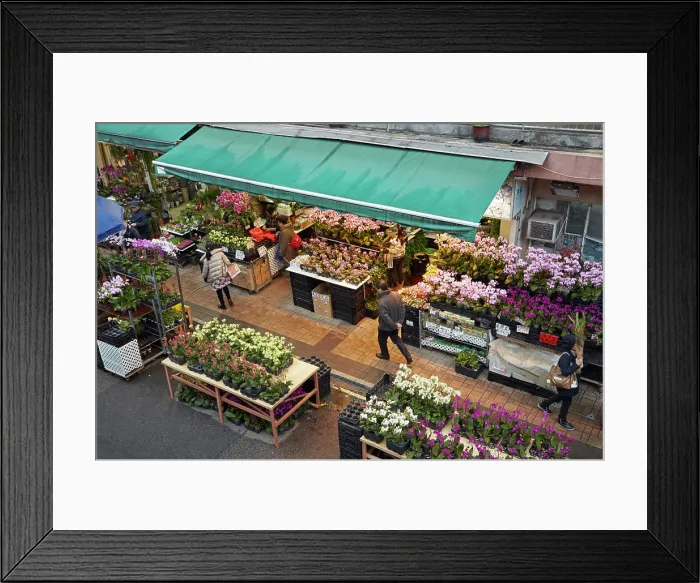 Framed Print : Cut flowers at Hong Kong flower market, Mong Kok, Kowloon, Hong Kong, China Framed Print : Cut flowers at Hong Kong flower market, Mong Kok, Kowloon, Hong Kong, China