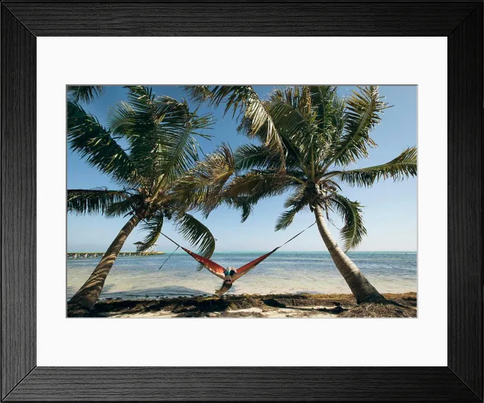 Framed Print : A Young Woman in a hammock is framed by two palm trees Framed Print : A Young Woman in a hammock is framed by two palm trees