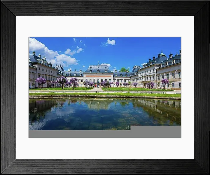 Framed Print : Pillnitz Palace & Park Framed Print : Pillnitz Palace & Park