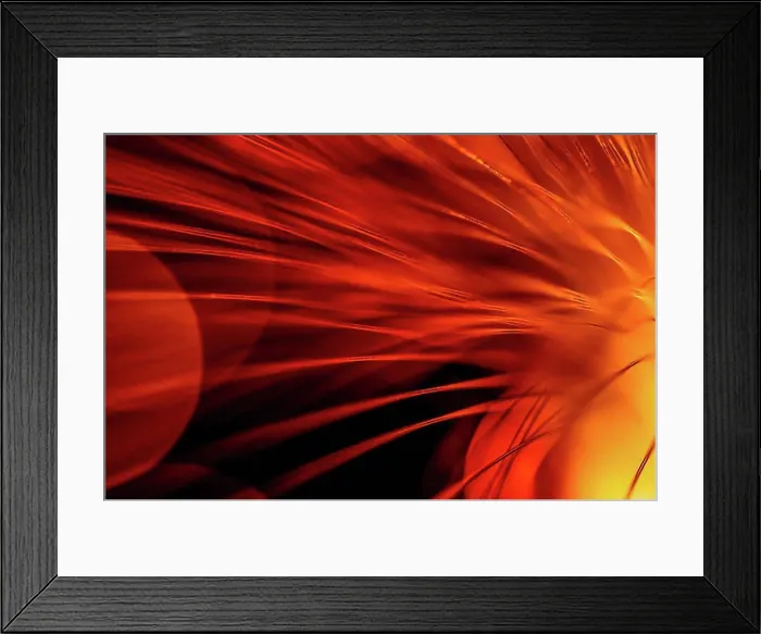 Framed Print : Fibre Optic Abstract Framed Print : Fibre Optic Abstract