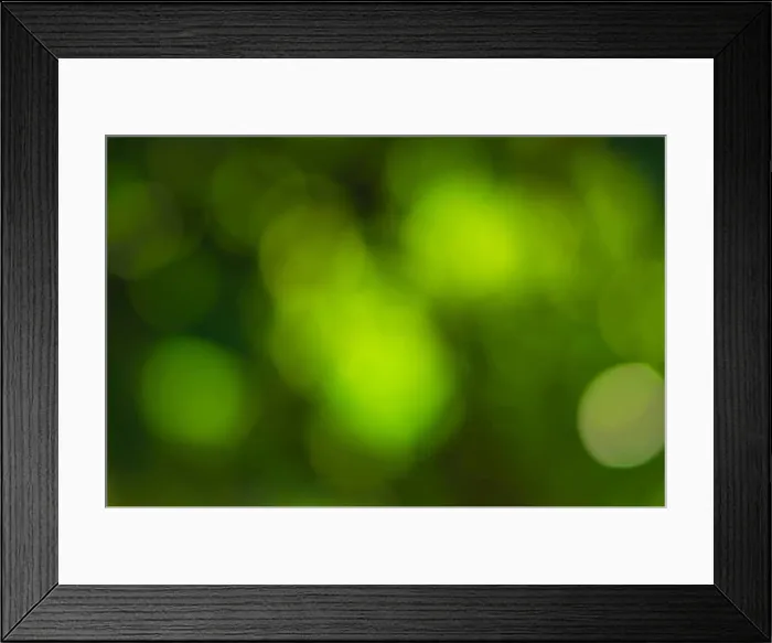 Framed Print : Sunlight bokeh the green leaves of trees natural blurred Framed Print : Sunlight bokeh the green leaves of trees natural blurred