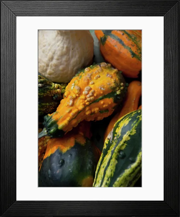 Framed Print : Germany, Bavaria, Passau. Open-air farmer's market, colorful fall squash & gourds Framed Print : Germany, Bavaria, Passau. Open-air farmer's market, colorful fall squash & gourds