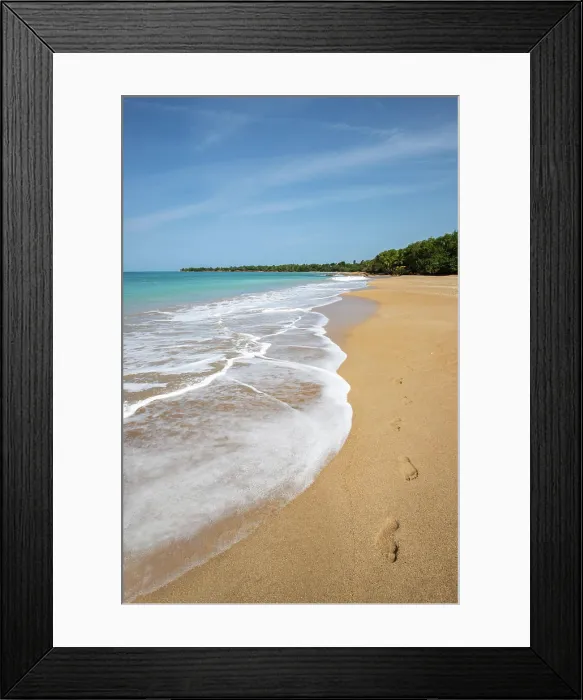 Framed Print : Plage de Clugny, dream beach in Sainte Rose, Guadelupe French Antilles, France, Europe
