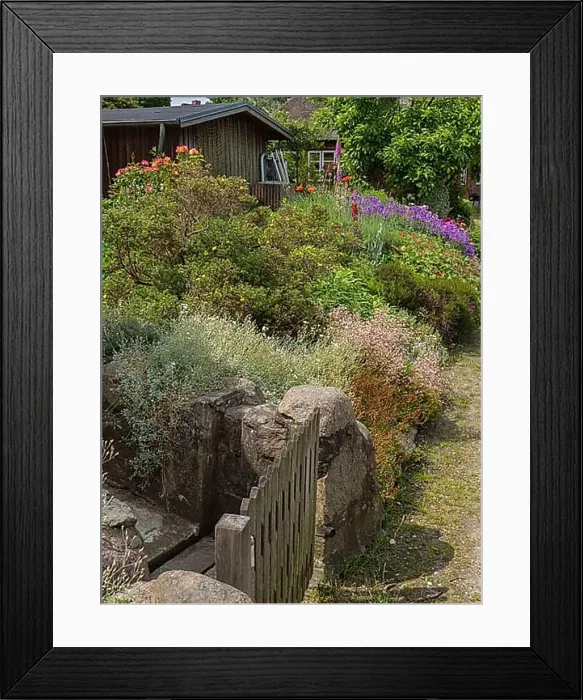 Framed Print : A blooming garden with flowers Framed Print : A blooming garden with flowers