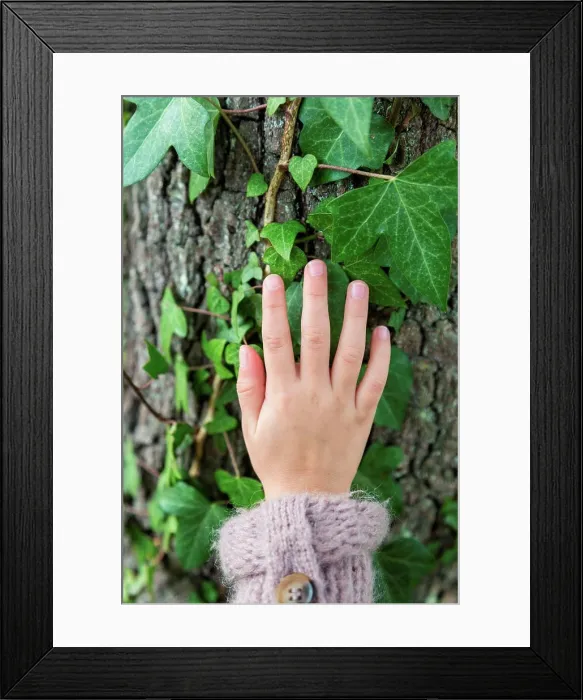Framed Print : Child's hand touching a tree Framed Print : Child's hand touching a tree